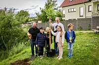 Bild: Kommunionskinder pflanzen Erinnerungsbaum
