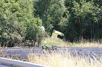 Unfall mit tödlichem Ausgang Bild: Unfall mit tödlichem Ausgang
