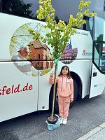 Bild: Partnerschaftstreffen in Ungarn