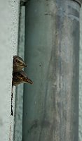 Bild: Wundersch&ouml;ne Tierwelt