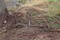 Bild: T&ouml;dlicher Unfall am Vormittag