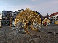 Bild: Peter Blei unterwegs in Magdeburg