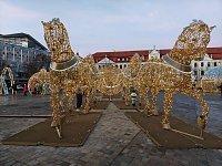 Bild: Peter Blei unterwegs in Magdeburg