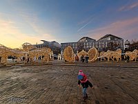 Bild: Peter Blei unterwegs in Magdeburg