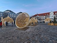 Bild: Peter Blei unterwegs in Magdeburg