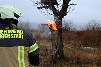 Feuerwehreinsätze vor dem neuen Jahr Bild: Feuerwehreinsätze vor dem neuen Jahr
