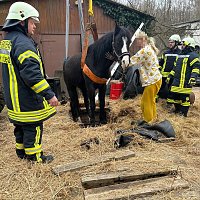 Bild: Das Pferd war in eine fr&uuml;here, jetzt leere, G&uuml;llegrube gerutscht.