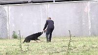Bild: Offene T&uuml;ren bei der Polizei