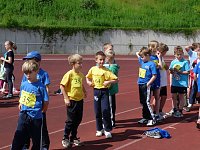 Bild: Mini-WM-2010