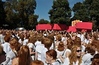 Bild: Welttreffen der Feuerk&ouml;pfe
