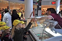 Bild: Buntes Programm zum FAMILIENTAG in der Galerie