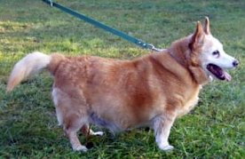 Bild: Moppel