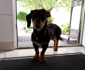 Bild: Josy