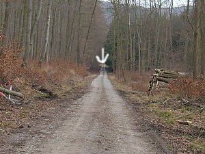 Beim Marienbrunenn