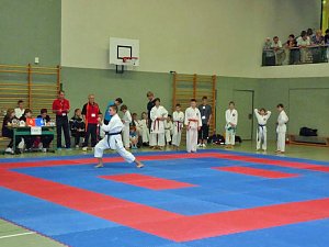 Meisterschaften im Karate