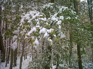 Herbst und Winter