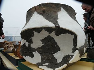 Funde aus 5000 Jahren S&uuml;dharzer Geschichte