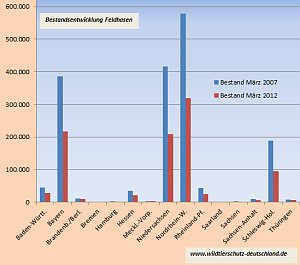 Bestand der Feldhasen...