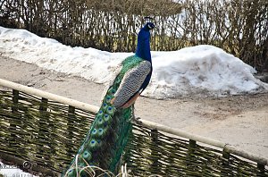 B&auml;renpark