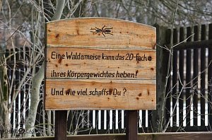B&auml;renpark