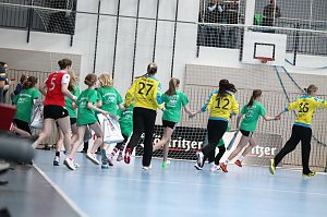 Tolles Spiel in der Wiedigsburghalle