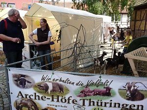 Th&uuml;ringentag am Samstag