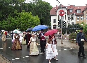 Weitere Bilder Festumzug (1)