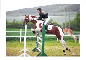 Toller Pferdesport auf der Forstfarm
