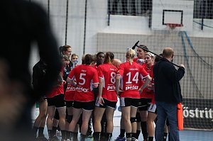 Sieg im CL-Auftakt f&uuml;r den THC