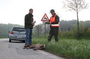 Wildunf&auml;lle reduzieren