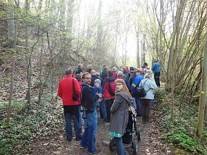 Wildkr&auml;uterwanderung im S&uuml;dharz