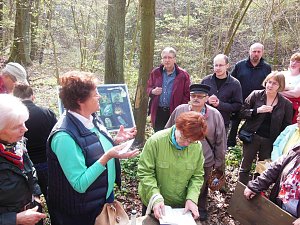 Wildkr&auml;uterwanderung im S&uuml;dharz