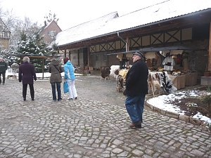 Rassekaninchenschau Kyffh&auml;userkreis