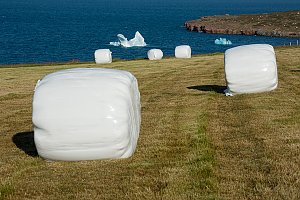 Fotovortrag Gr&ouml;nland