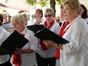 Marienwallfahrt in Breitenholz