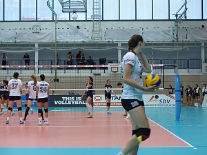 Volleyball in der Wiedigsburghalle