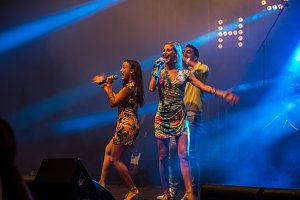 12.Goitsche - Fest