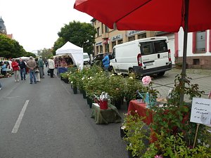 Er&ouml;ffnung Herbstmarkt