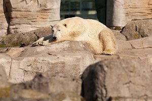Besuch im Zoo am Meer