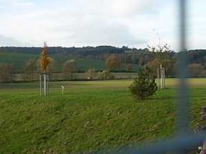 Fest der Einheit