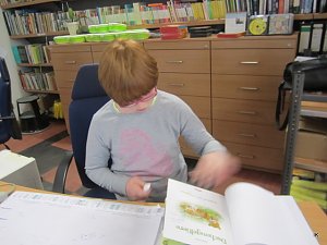 Projekt Bibliothek