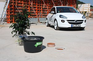 Umparken in Sondershausen