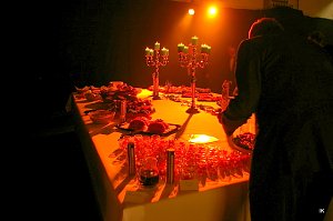 9. &Auml;rzte- und Apothekerball in Heiligenstadt
