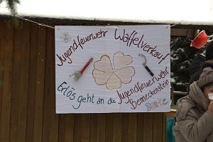 Schlittenhunderennen in Benneckenstein