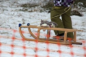 Schlittenhunderennen in Benneckenstein