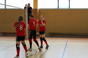 Neues vom Volleyball