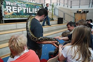 Welt der Reptilien in der Wiedingsburghalle