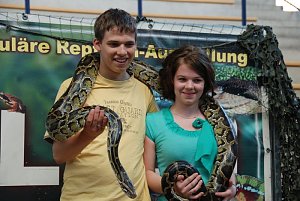 Welt der Reptilien in der Wiedingsburghalle