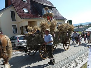 Festumzug Gernrode 2015