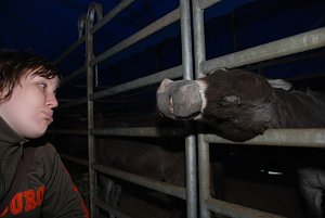 Circus Rolina gastiert in Nordhausen 